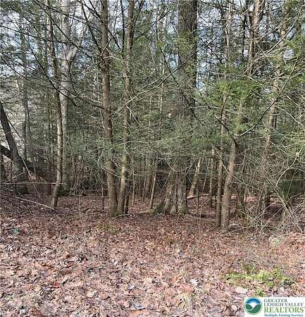 0.31 Acres of Residential Land for Sale in Tobyhanna Township, Pennsylvania