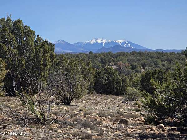 14 Acres of Recreational & Residential Land for Sale in Williams, Arizona