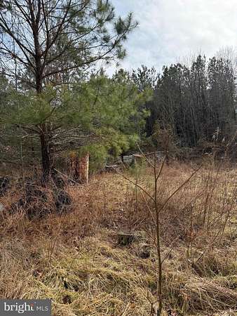 1 Acre of Land for Sale in Hague, Virginia
