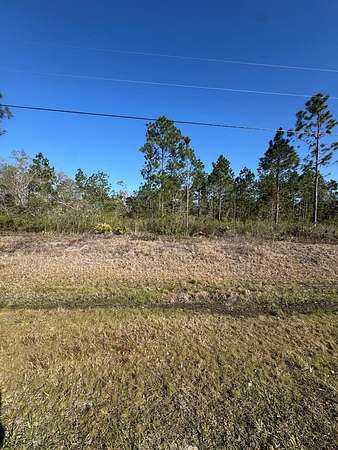 1 Acre of Residential Land for Sale in Naylor, Georgia