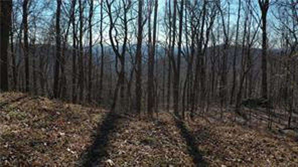 3.34 Acres of Residential Land for Sale in Ellijay, Georgia