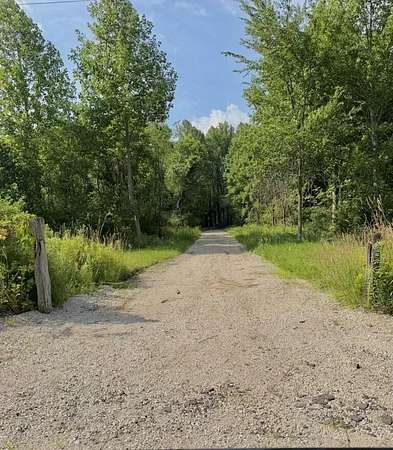 19.4 Acres of Land for Sale in Three Oaks, Michigan