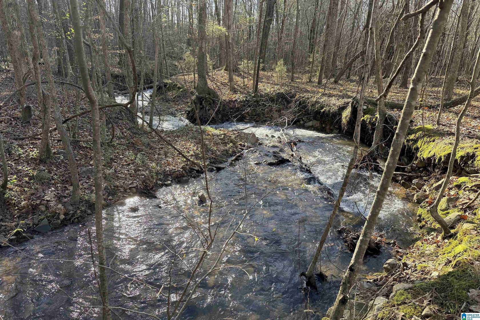 28 Acres of Land for Sale in Anniston, Alabama