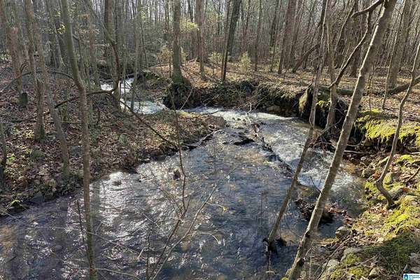 28 Acres of Land for Sale in Anniston, Alabama