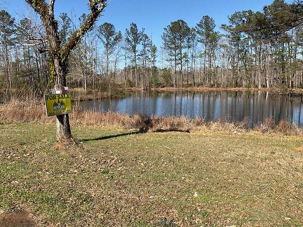 65 Acres of Recreational Land for Sale in McKenzie, Alabama