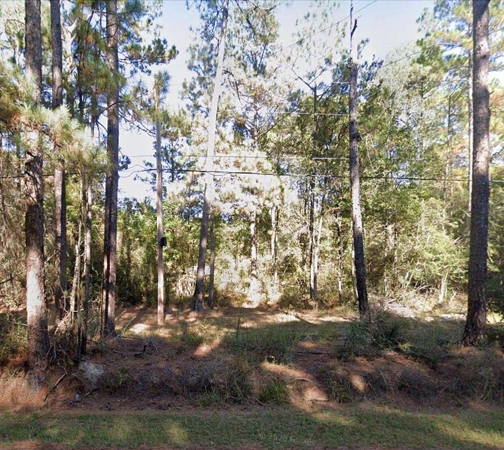 3.9 Acres of Land for Sale in Picayune, Mississippi