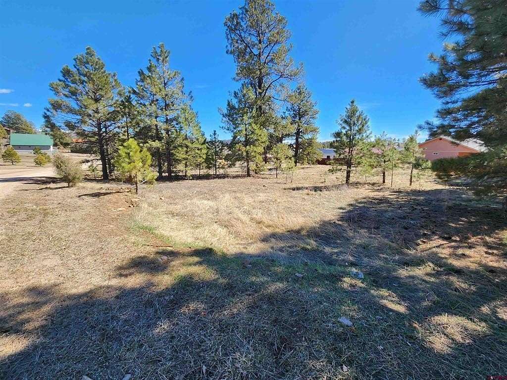0.48 Acres of Residential Land for Sale in Pagosa Springs, Colorado