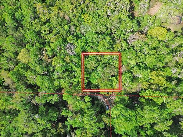 0.29 Acres of Residential Land for Sale in Belleview, Florida