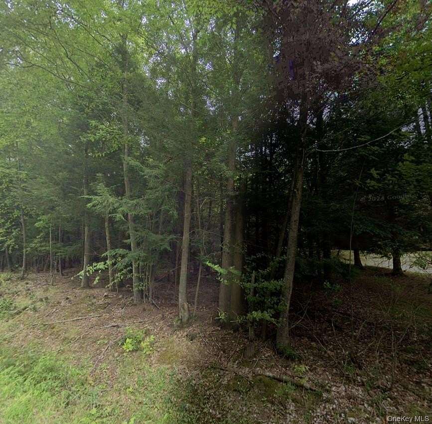 1.78 Acres of Residential Land for Sale in Fallsburg, New York