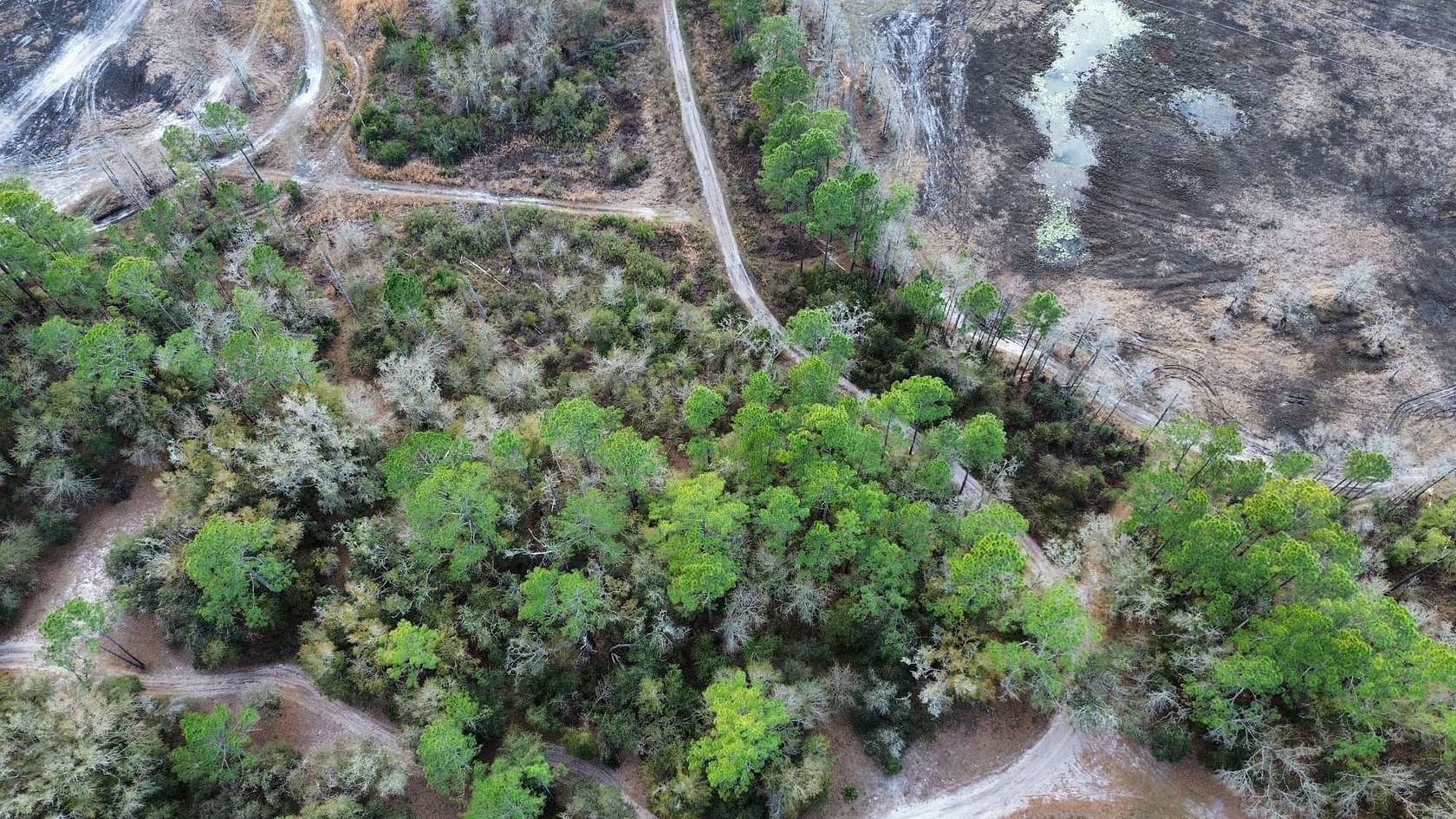 1.25 Acres of Residential Land for Sale in Bronson, Florida