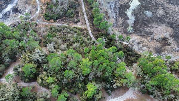 1.25 Acres of Residential Land for Sale in Bronson, Florida