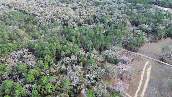 1.25 Acres of Residential Land for Sale in Bronson, Florida