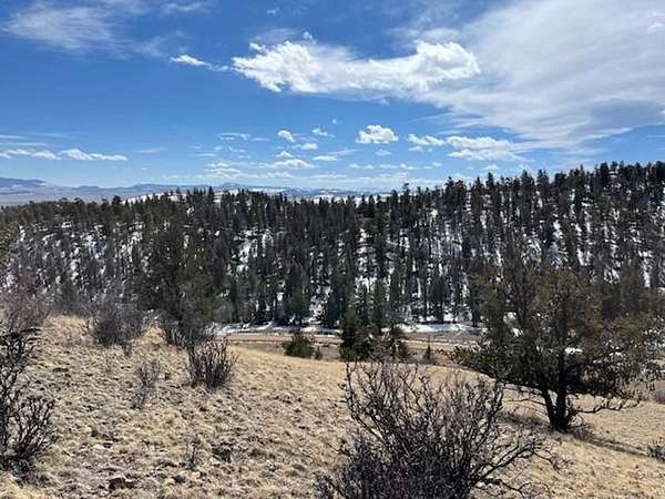 111 Acres of Land for Sale in Hartsel, Colorado