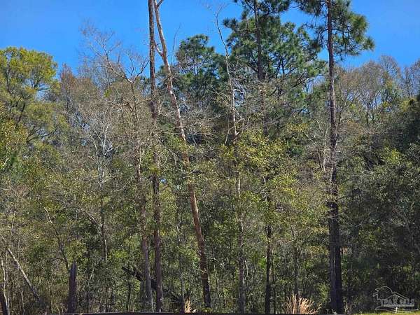 2 Acres of Residential Land for Sale in Bagdad, Florida