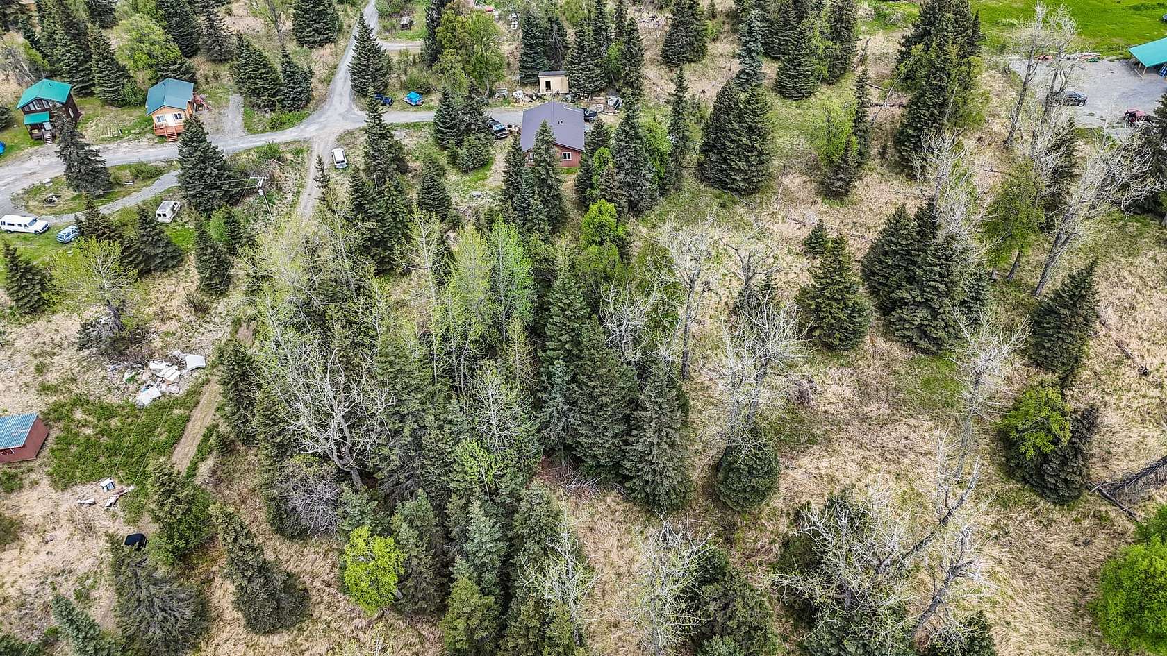 1.25 Acres of Residential Land for Sale in Ninilchik, Alaska