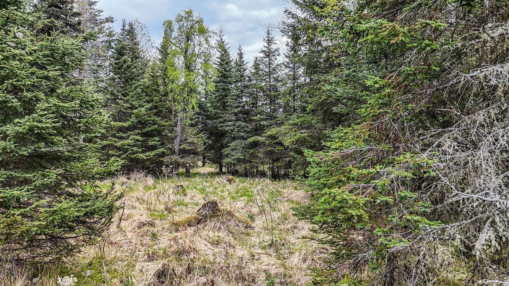 1.25 Acres of Residential Land for Sale in Ninilchik, Alaska