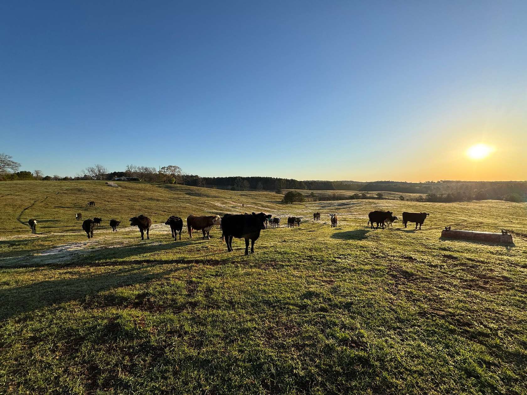 89 Acres of Agricultural Land for Sale in Roanoke, Alabama