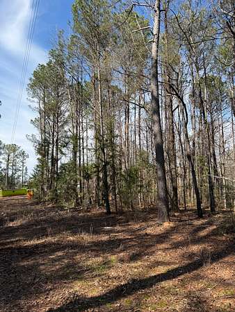 22 Acres of Recreational & Residential Land for Sale in Notasulga, Alabama