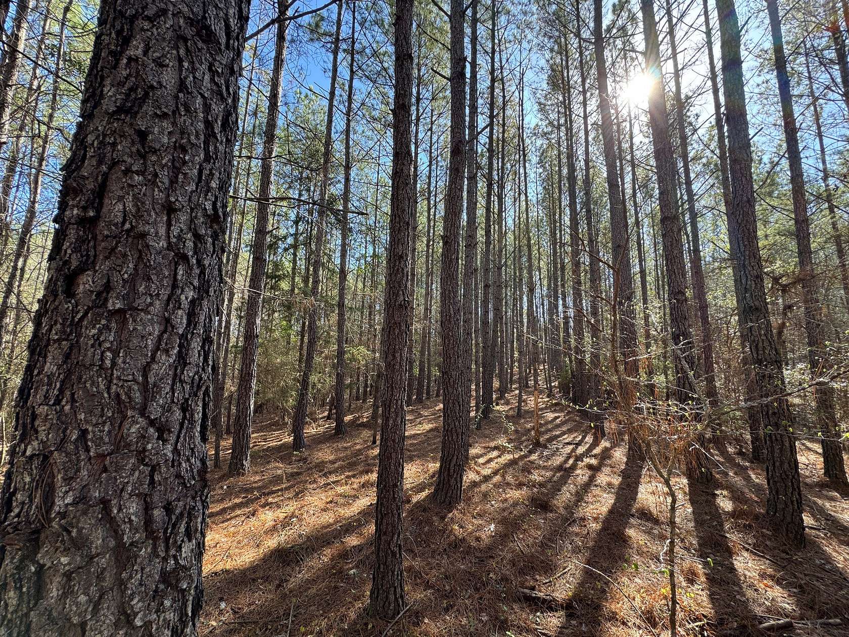 11 Acres of Land for Sale in Tallassee, Alabama