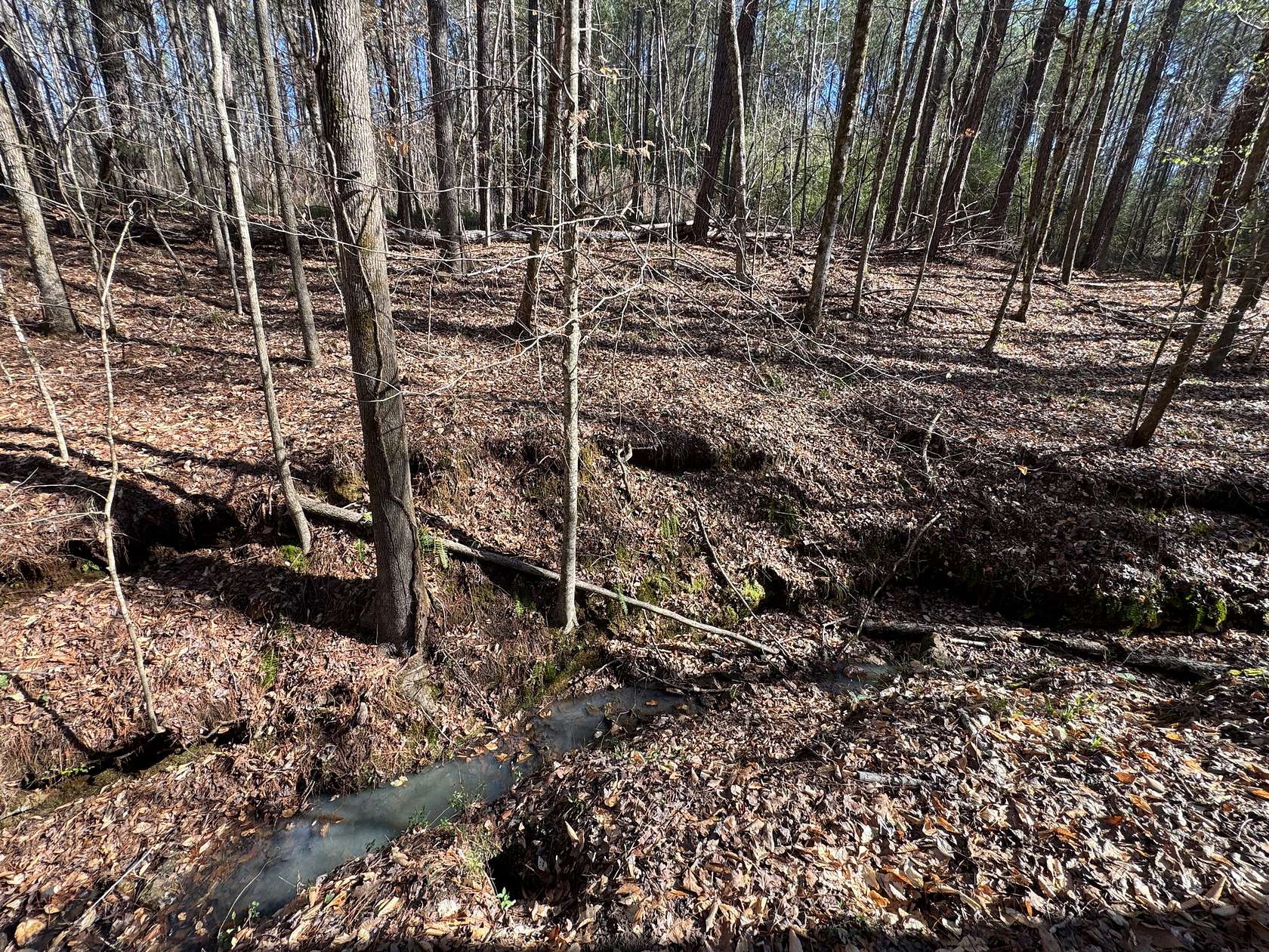 11 Acres of Land for Sale in Tallassee, Alabama