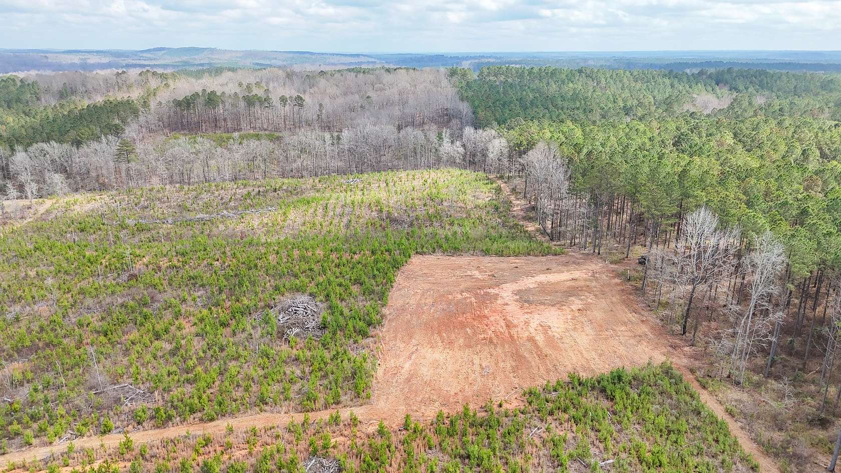 44 Acres of Recreational & Residential Land for Sale in La Fayette, Alabama