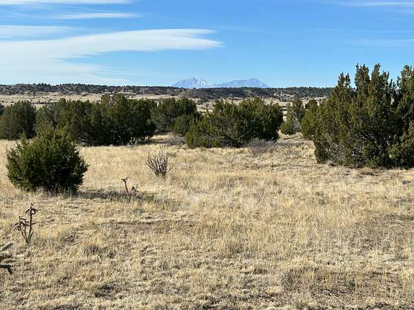35 Acres of Land for Sale in Rye, Colorado