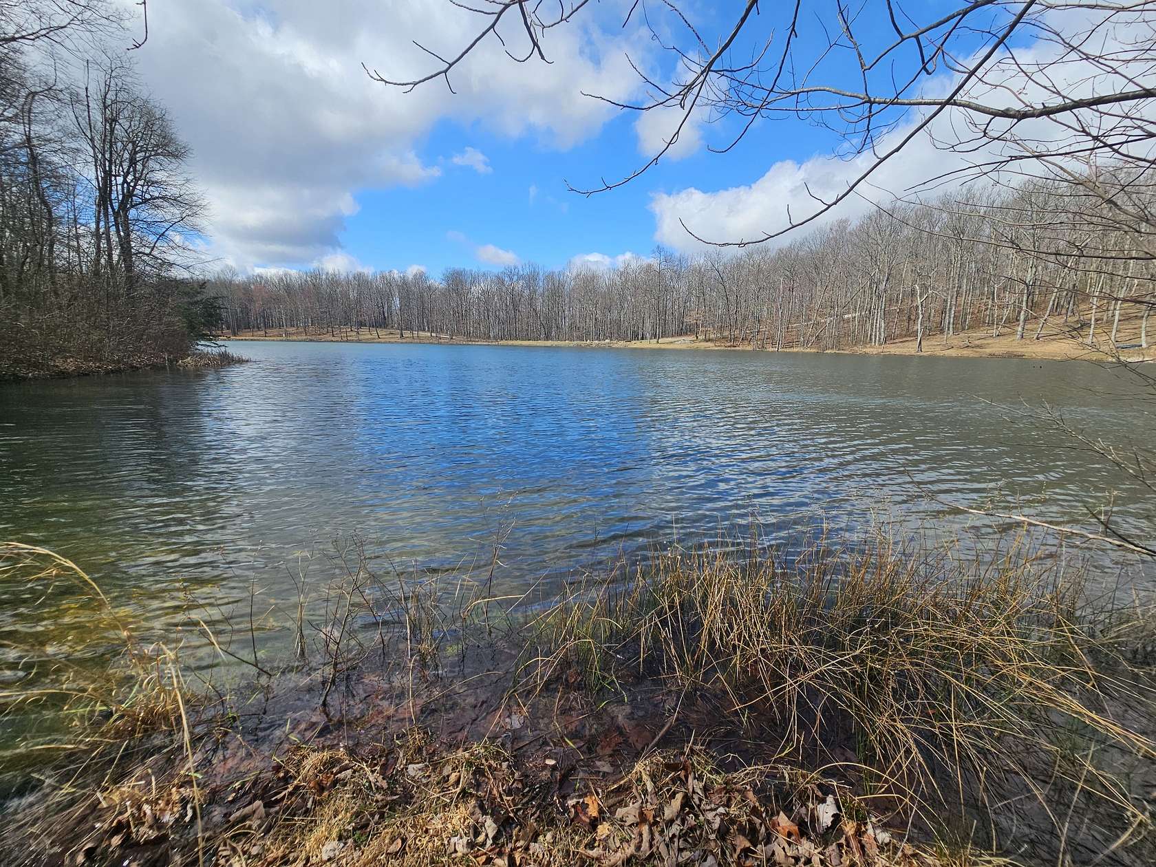 4 Acres of Residential Land for Sale in Altamont, Tennessee