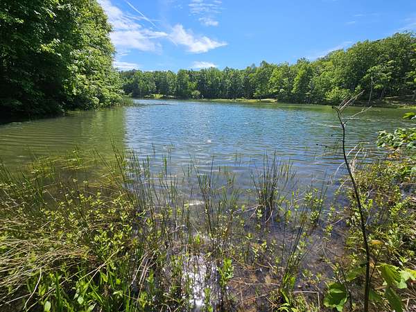 4 Acres of Residential Land for Sale in Altamont, Tennessee