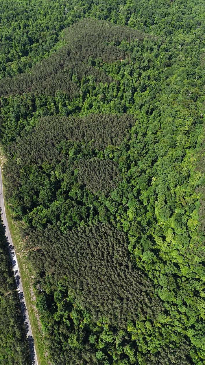 44 Acres of Recreational Land for Sale in Linden, Tennessee