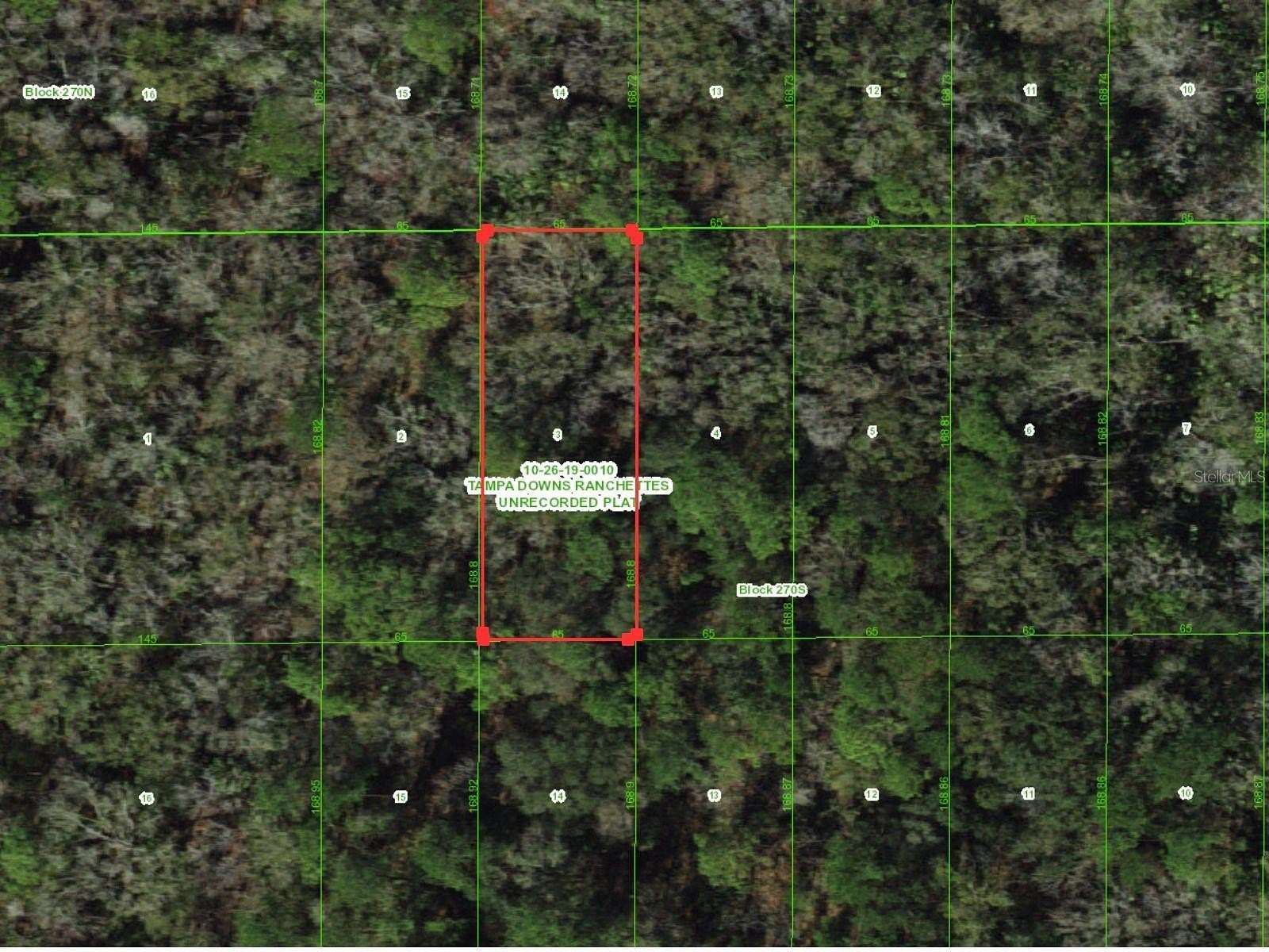 0.25 Acres of Residential Land for Sale in Wesley Chapel, Florida