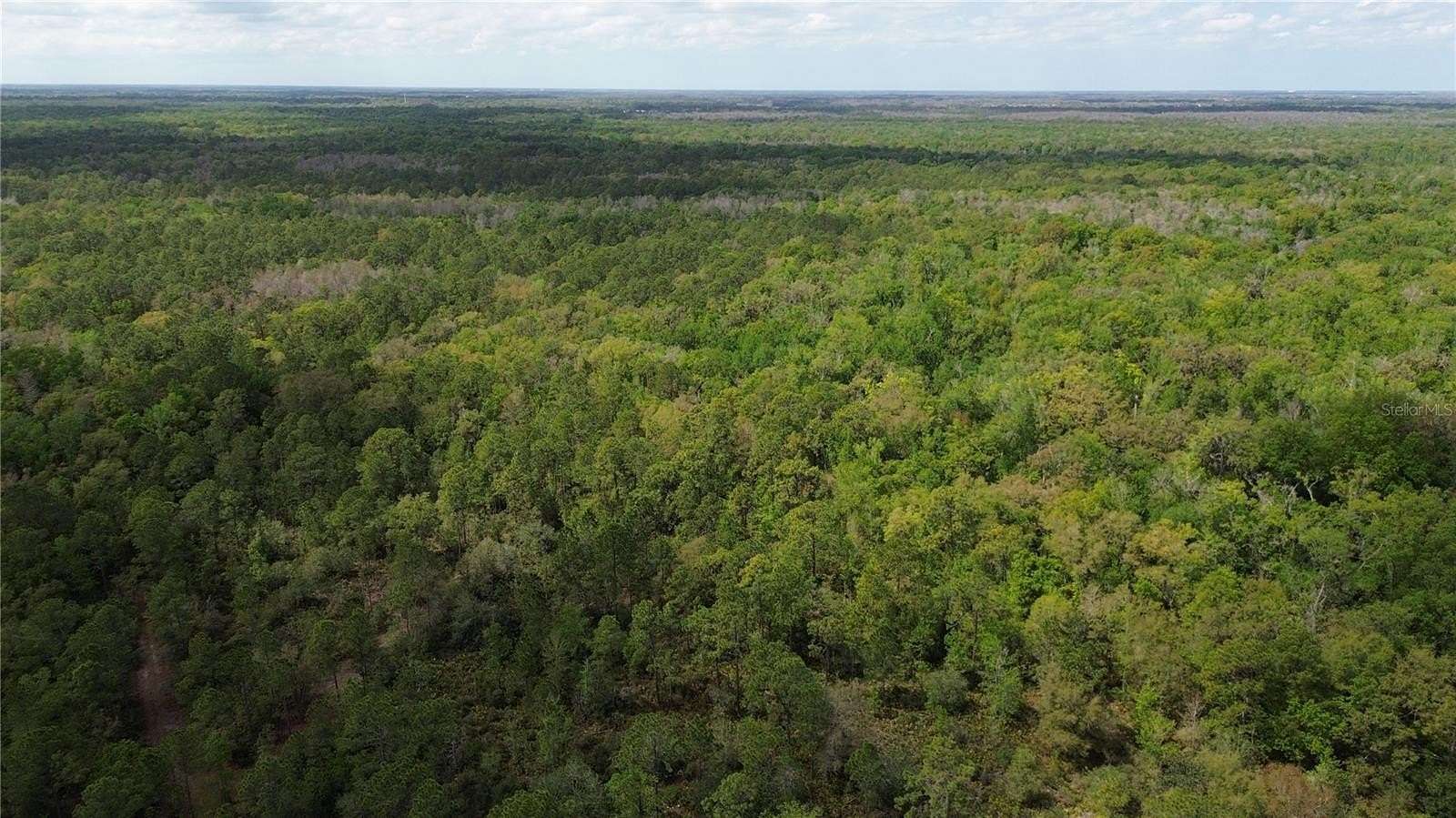 0.25 Acres of Land for Sale in Wesley Chapel, Florida