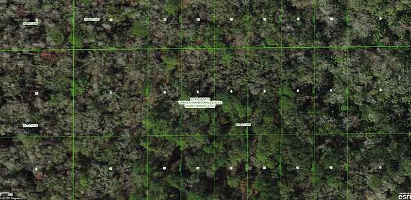 0.25 Acres of Land for Sale in Wesley Chapel, Florida