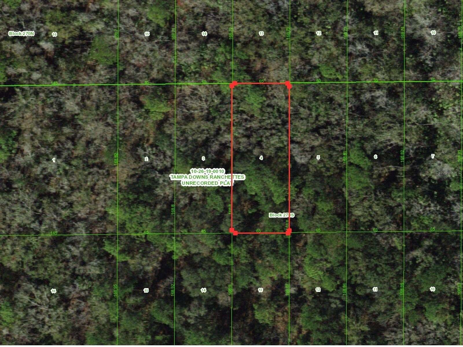 0.25 Acres of Residential Land for Sale in Wesley Chapel, Florida