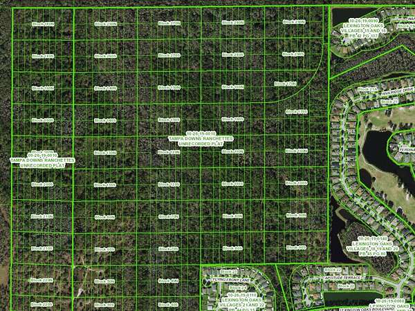 0.25 Acres of Land for Sale in Wesley Chapel, Florida