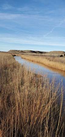 14.3 Acres of Land for Sale in Boys Ranch, Texas