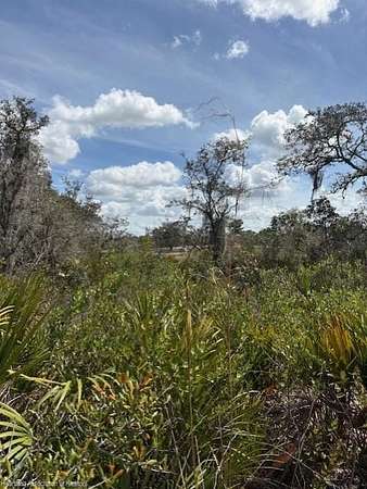 4.88 Acres of Residential Land for Sale in Lake Placid, Florida