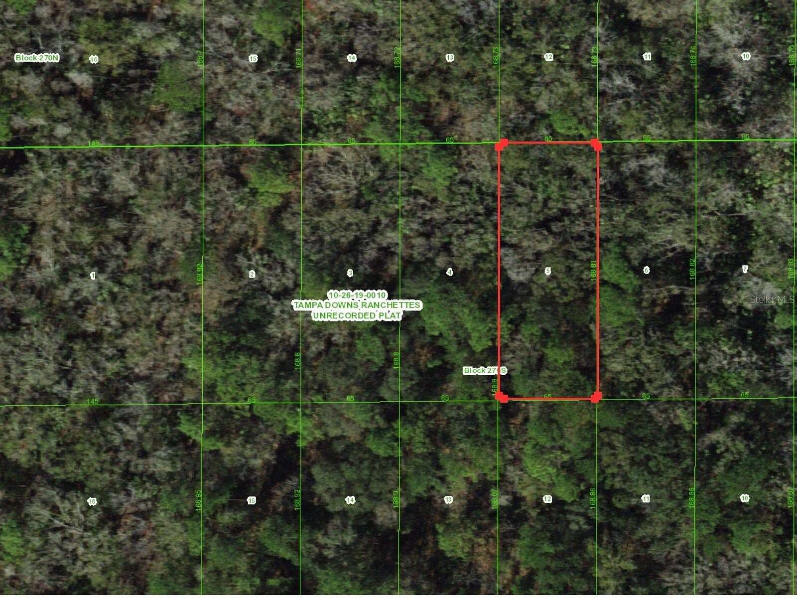 0.25 Acres of Residential Land for Sale in Wesley Chapel, Florida