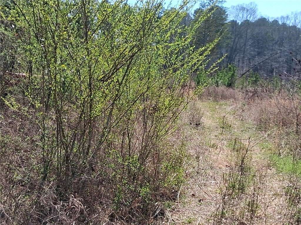 25 Acres of Recreational Land for Sale in Holland Township, Arkansas