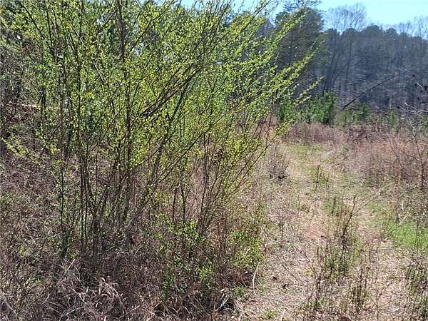 25 Acres of Recreational Land for Sale in Holland Township, Arkansas