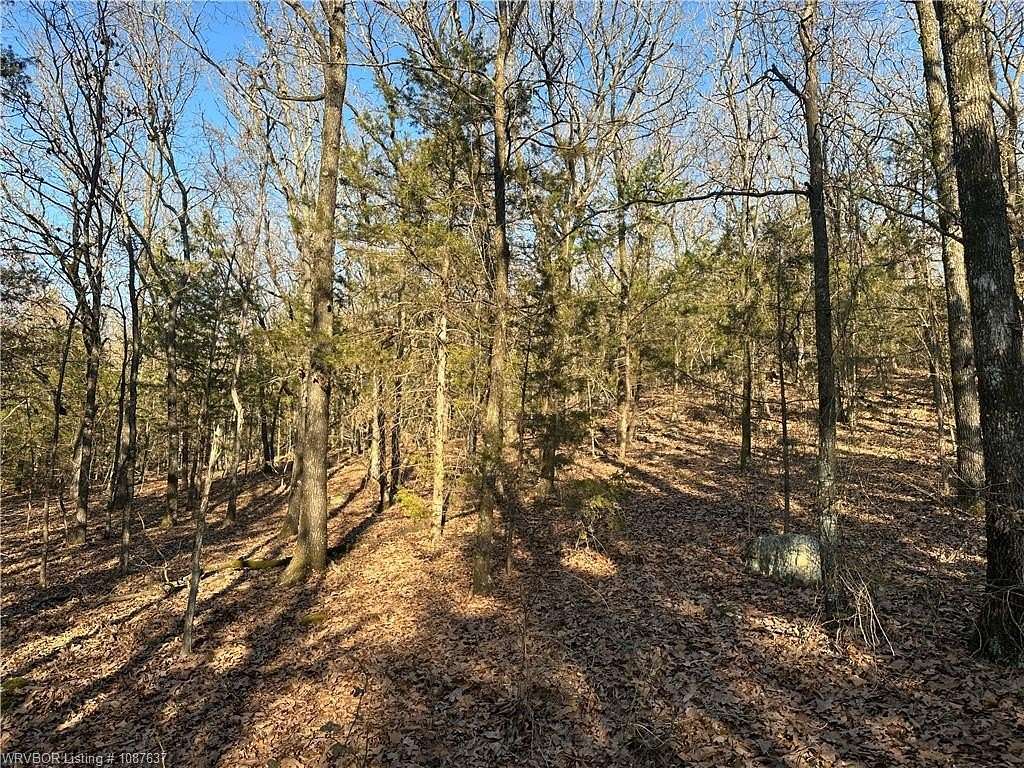 33.4 Acres of Recreational Land for Sale in Heavener, Oklahoma