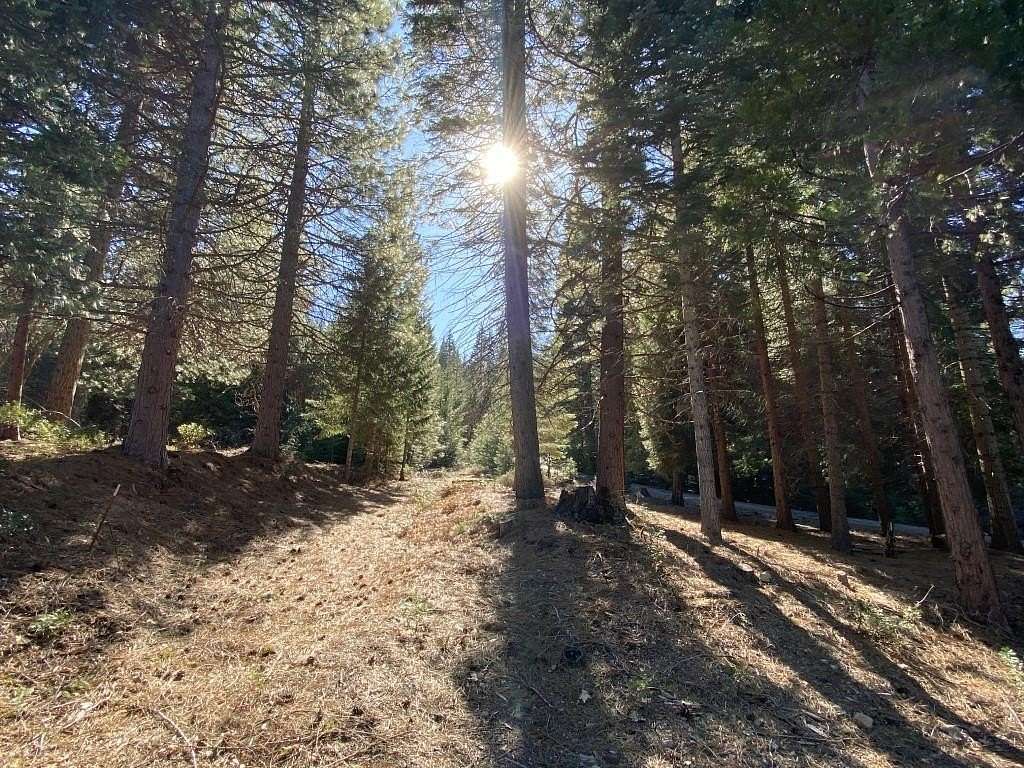1.59 Acres of Residential Land for Sale in Mount Shasta, California