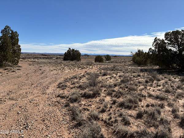 1 Acre of Residential Land for Sale in Snowflake, Arizona