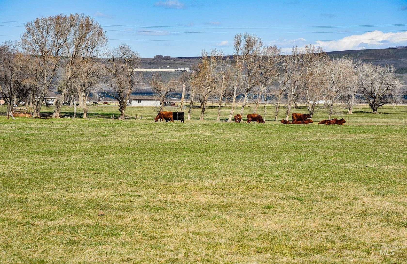 38.8 Acres of Agricultural Land with Home for Sale in Boardman, Oregon