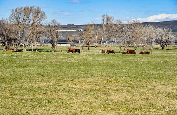 38.8 Acres of Agricultural Land with Home for Sale in Boardman, Oregon