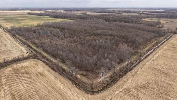 46.3 Acres of Recreational Land for Sale in Eudora, Arkansas