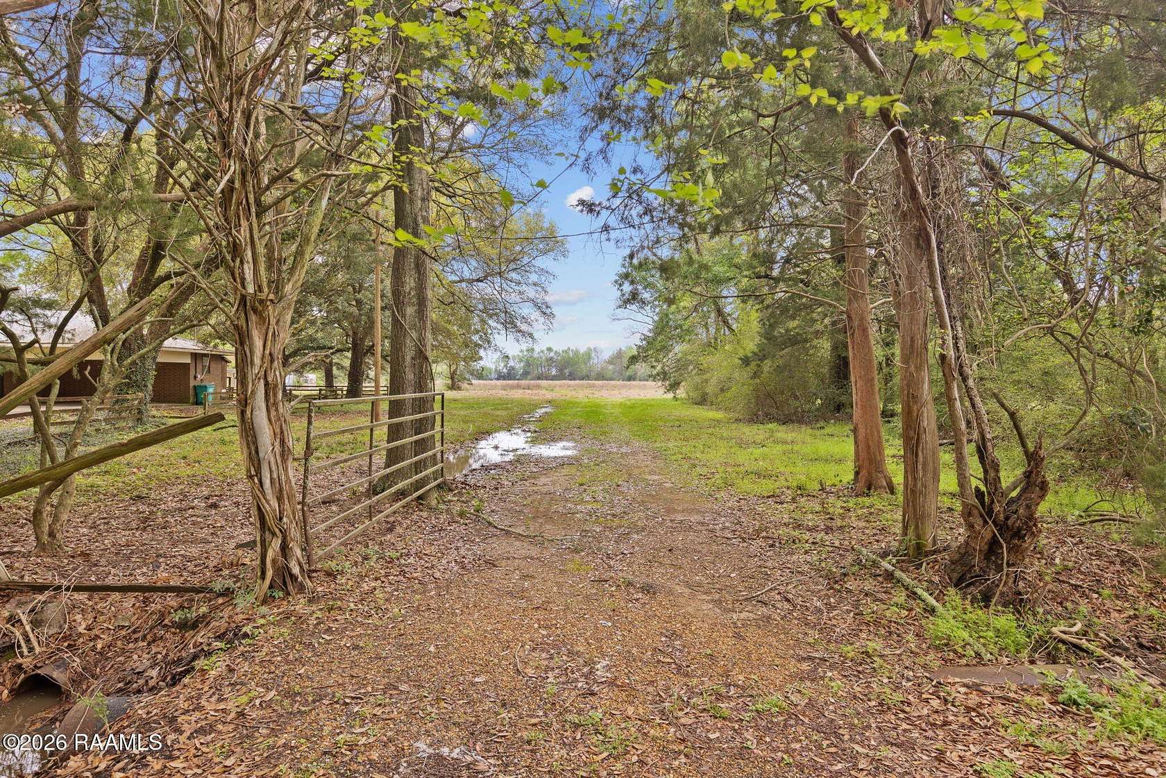 8.58 Acres of Residential Land for Sale in Basile, Louisiana