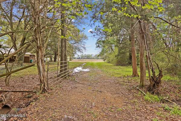 8.58 Acres of Residential Land for Sale in Basile, Louisiana