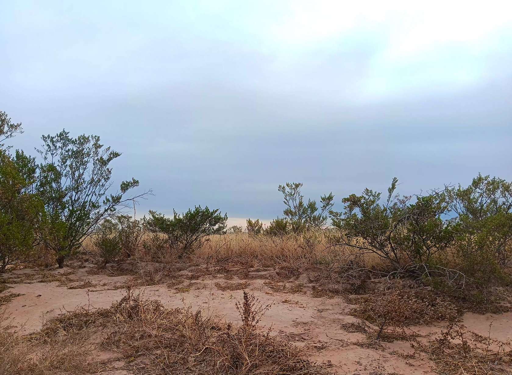 11.4 Acres of Recreational & Residential Land for Sale in Pine Springs, Texas