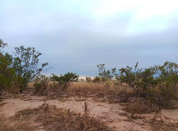 11.4 Acres of Recreational & Residential Land for Sale in Pine Springs, Texas
