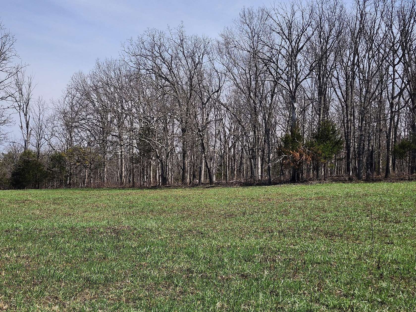8 Acres of Land for Sale in Huggins, Missouri